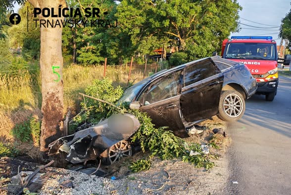 Miesto dopravnej nehody pri ceste so stromami a zasahujúcimi zložkami