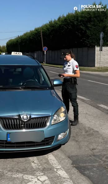 Policajná cestná kontrola vodiča na diaľnici